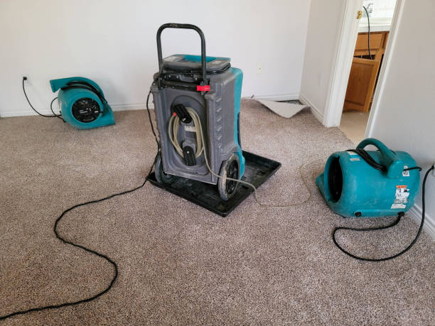 Best Water damage restoration near me  in Fort Washington, MD
