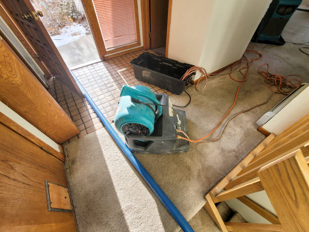 Best Flood restoration services  in Fort Washington, MD