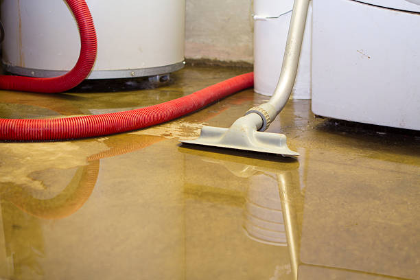 Best Flooded house restoration  in Fort Washington, MD