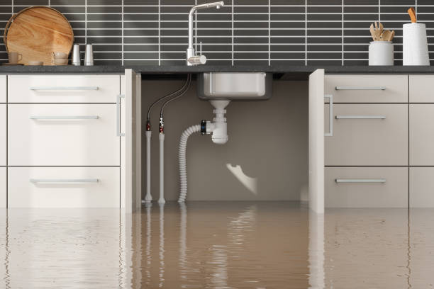 Best 24-hour water damage restoration  in Fort Washington, MD