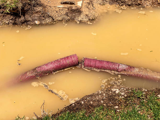 Best Water damage restoration near me  in Fort Washington, MD