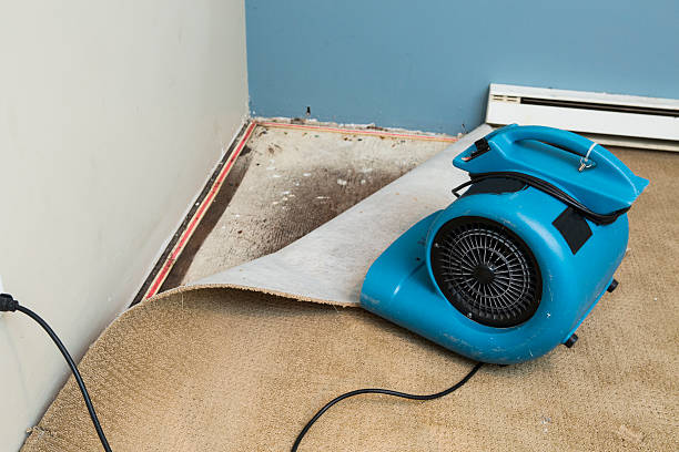 Best Carpet water damage restoration  in Fort Washington, MD